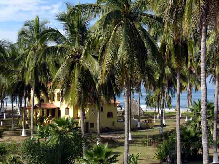 Casa Amarilla as seen through the palms