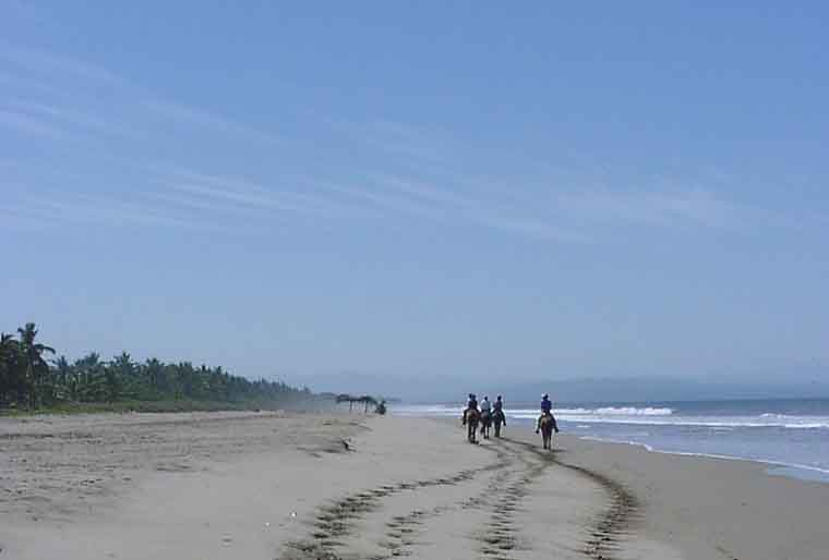 Sunning, walking, riding, running, on miles of beach