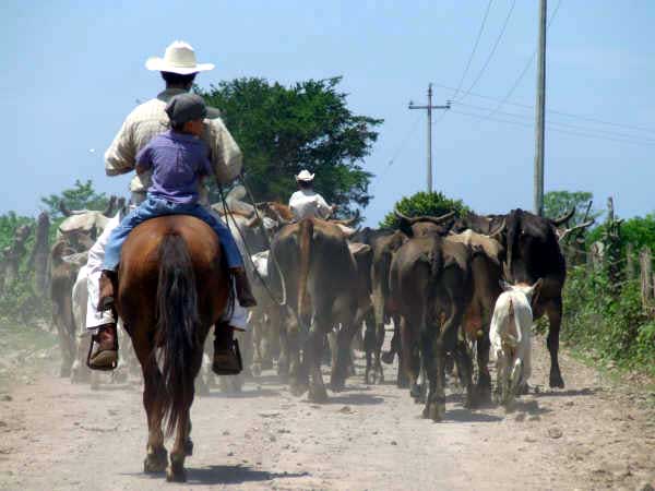 Traffic jam on the way to Playa Las Tortugas
