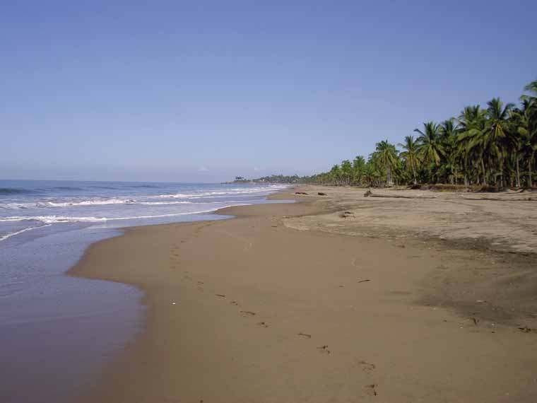 Sun, walk, run, ride on more than 5 miles of tropical beach